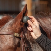 Plug Protetor de Ouvido para Animais - Classic Equine