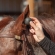 Plug Protetor de Ouvido para Animais - Classic Equine