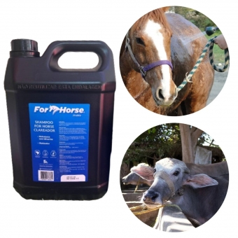 Shampoo Clareador Equino For Horse 5L