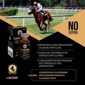 CondroBio 10ml Lavizoo