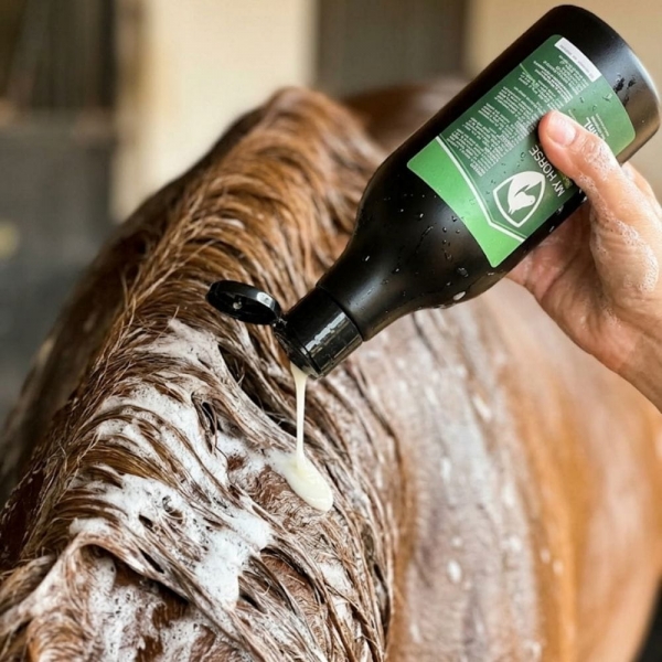 Shampoo de Coco My Horse 500ml