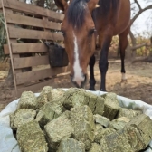 Kit Alfafa cubo 25Kg + saco de rabo Boots Horse Preto