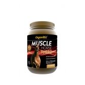 Muscle Horse Turbo 2,5Kg