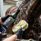 Shampoo My Horse Clean e Protect Citronela 500ml