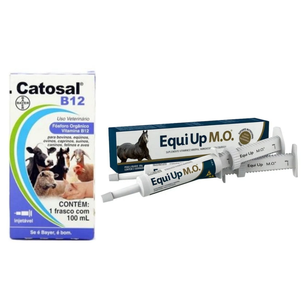 Catosal B12 100ml + Equi Up MO 80g