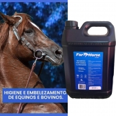 Shampoo Clareador Equino For Horse 5L
