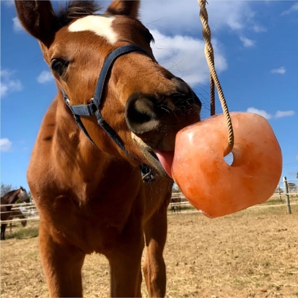 Bloco De Sal Rosa Do Himalaia Para Cavalos Bois E Ovinos