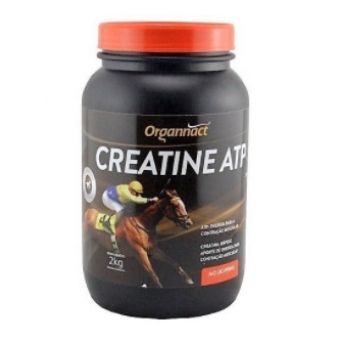 Creatina ATP 2Kg