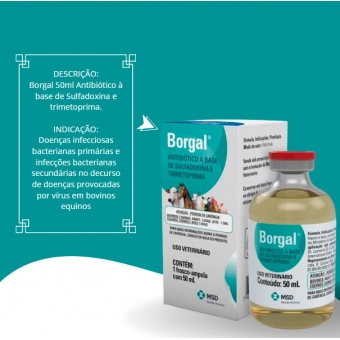 Borgal Antibiótico 50ml - MSD