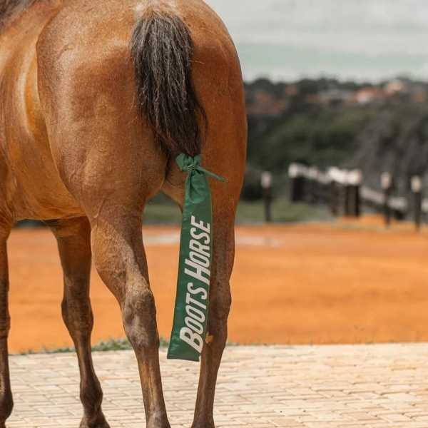 Kit 2 Sacos para rabos de cavalo For Horse Verde
