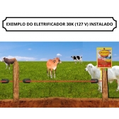 Eletrificador de Cerca 30 K  127 V - Choque Rural