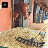 Garfo De Nylon Limpa Baias Cocheiras