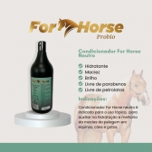 Kit Shampoo Coco Condicionador Desembaraçador For Horse 1 L