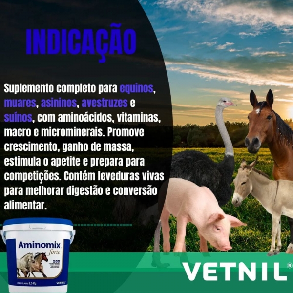 Aminomix Forte Vetnil - 2,5kg