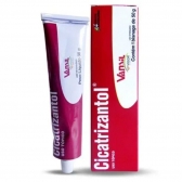 Pomada Cicatrizante Cicatrizantol 50gr Vansil