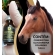 CondroBio 10ml Lavizoo