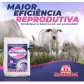 Suplemento mineral Fós Reprodução Matsuda 30kg