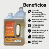 Colosso Pour On 1 Litro Ouro Fino Carrapatos Bernes Insetos