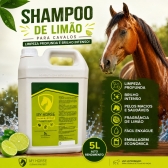 Shampoo Capim Limao My horse 5 Litros