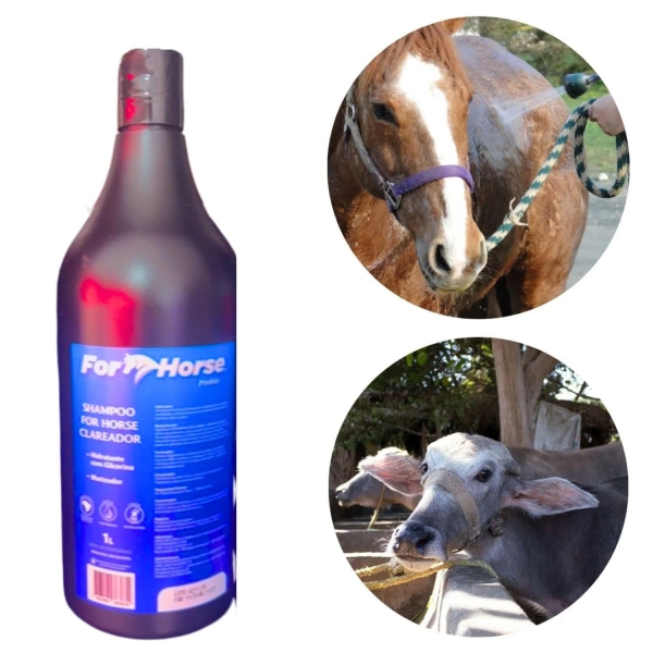Kit Shampoo Clareador ForHorse 1L + Monovin A Injetável 20ml