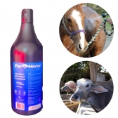 Kit Shampoo Clareador ForHorse 1L + Monovin A Injetável 20ml