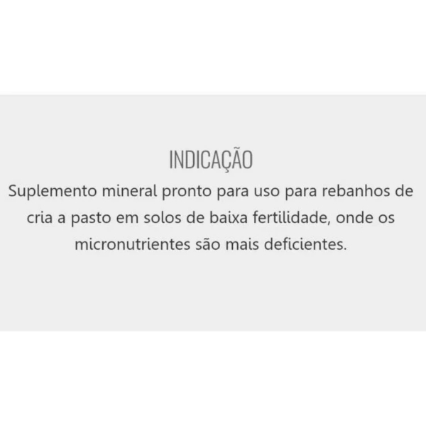 Kit Sal Branco 25KG + Sal Mineral Matsuda Reprodução Bovinos