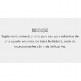 Kit Sal Branco 25KG + Sal Mineral Matsuda Reprodução Bovinos