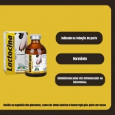 Lactocina Ocitocina Ja Saude Animal Parto Vacas 100ml