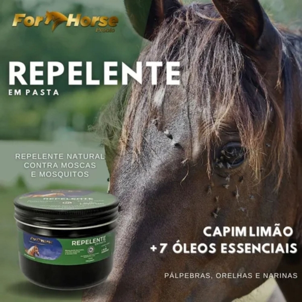 Kit Bloco Sal Rosa Himalaia + Repelente Capim Limão 150g