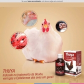 Thuya 90 ml