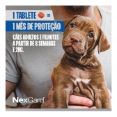 NexGard Antipulgas e Carrapatos para Cães de 4,1 a 10kg