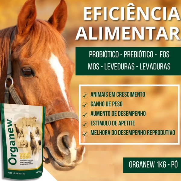 Kit Shampoo Neutro For Horse 5L + Organew Vetnil 1kg