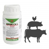Ripercol Oral 250ml Zoeti + Cromo Suplemento Mineral 4kg