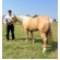 Kit Shampoo Coco Condicionador Desembaraçador For Horse 1 L