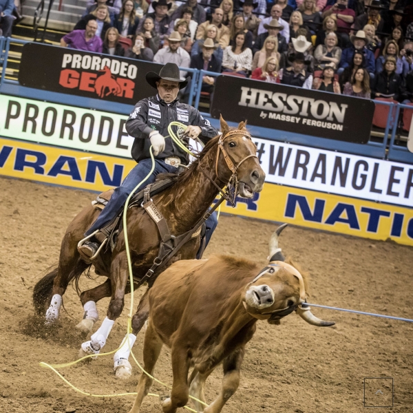 Corda Classic NXT4 M Medium 35 pé