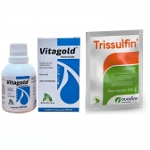 Vitagold Vitamina Aves Bovinos Equinos e Trissulfin Po