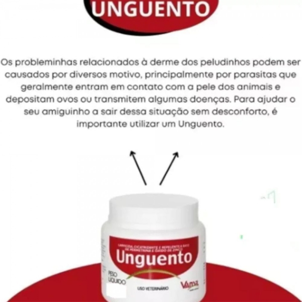 Pomada Unguento Plus 250g Vansil