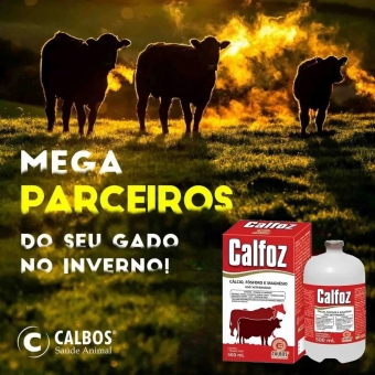 Calfoz Calbos 500ml + Equipo