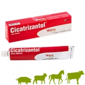Pomada Cicatrizante Cicatrizantol 50gr Vansil