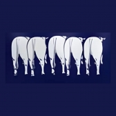 Nucleo Bovinos Corte Gado Ração Boi Vaca Top Beef Matsuda