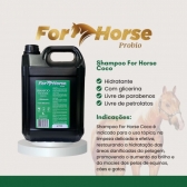 Shampoo Neutro De Coco For Horse 5l Uso Profissional Haras Pet