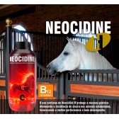 Neocidine H 1,75 L - Calbos