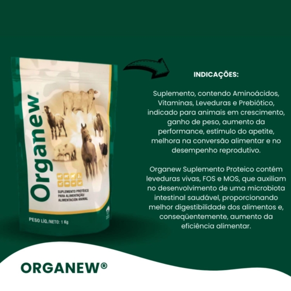 Vetnil Suplemento equino proteico em pó Vetnil Organew 1 kg