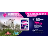 Suplemento mineral Fós Reprodução Matsuda 30kg