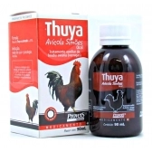 Thuya 90 ml