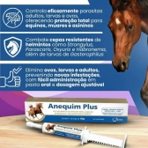 Kit 3 Vermífugo Oral Para Cavalos Anequim Plus Syntec 30G