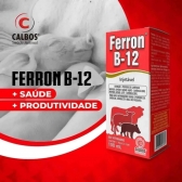 Kit 2 Ferron B12 Calbos 50ml