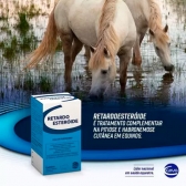 Retardo Esteroide Ceva 50ml