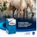 Retardo Esteroide Ceva 50ml