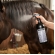 Kit Desembaraçador Abrilhantador 5 L E 1 L For Horse